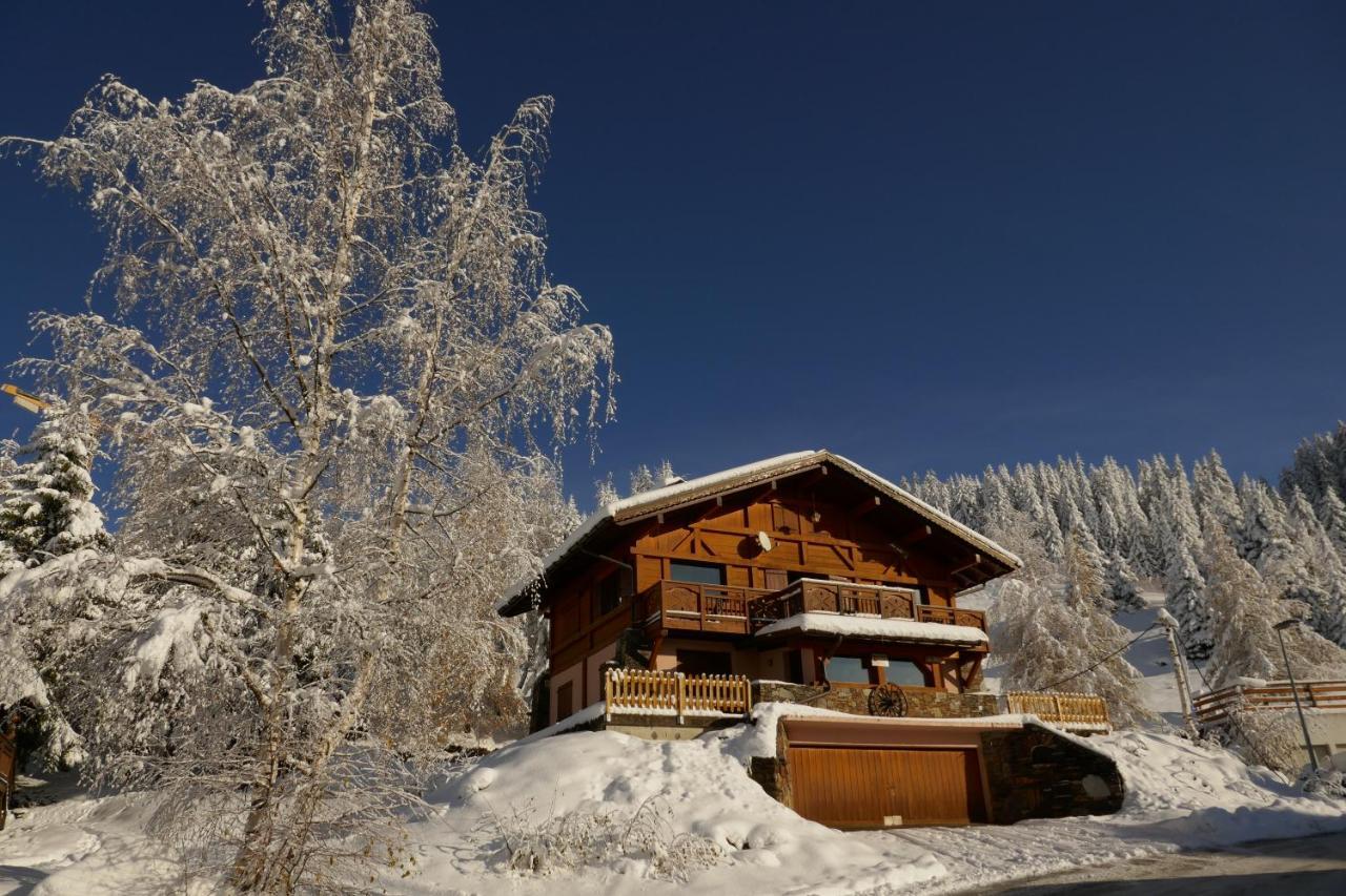 Les Saisies Cote Bisanne Appartement Dans Chalet Le Nepal Екстериор снимка