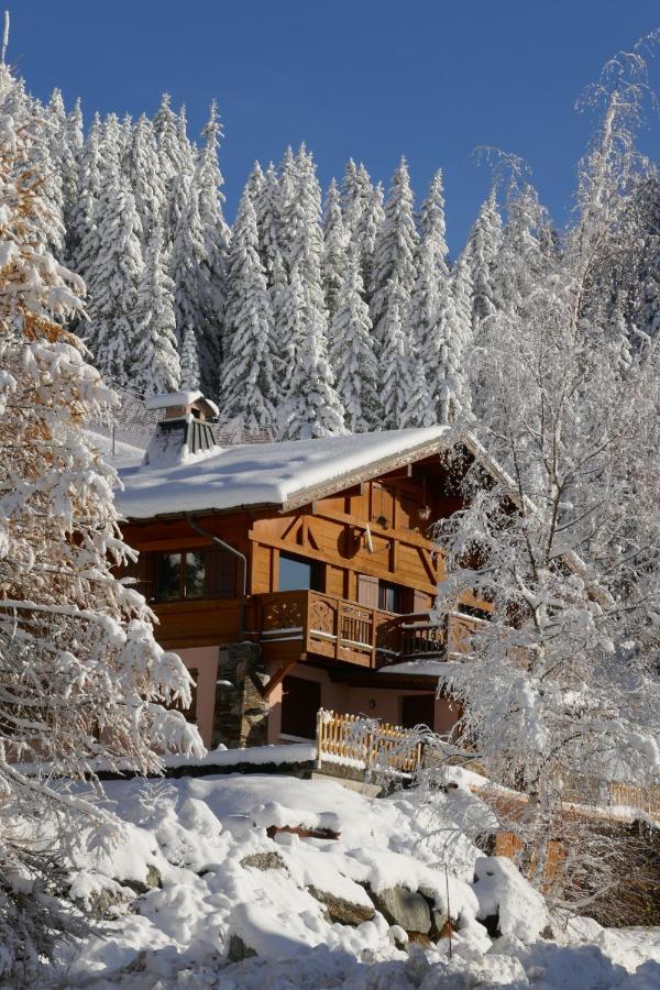 Les Saisies Cote Bisanne Appartement Dans Chalet Le Nepal Екстериор снимка